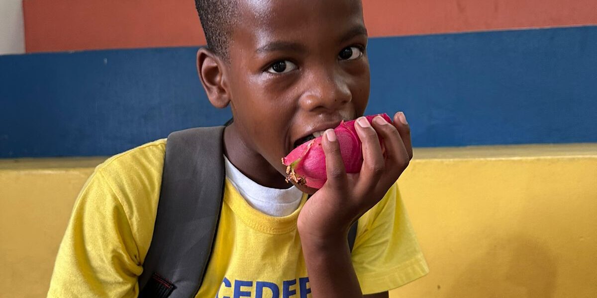 WhatsApp Image 2024-03-08 at 10.26.35